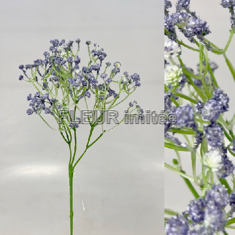 Gypsophila x5 60cm 12/144