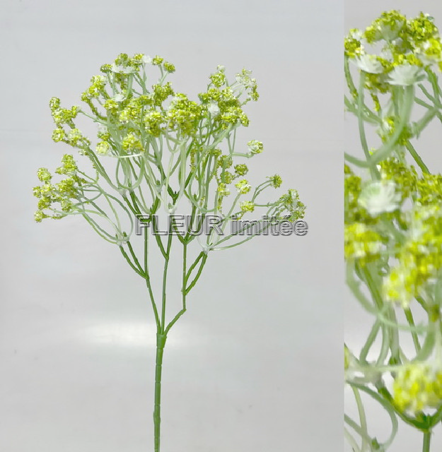 Gypsophila x5 60cm 12/144