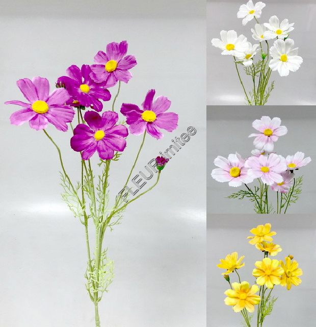 Cosmos x6  86cm 48/288