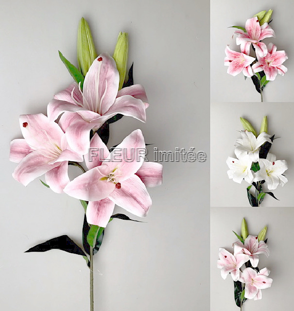 Lilie x5 90cm 12/96