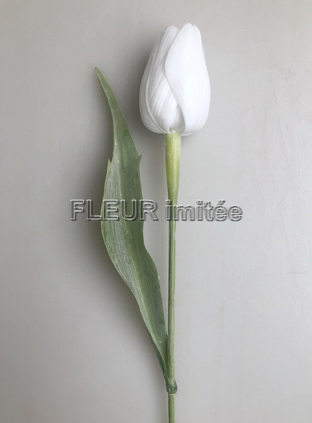 Tulipán x1 plast 40cm 144/1440