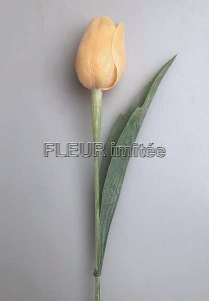 Tulipán x1 plast 40cm 144/1440