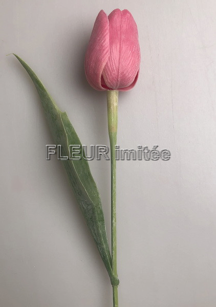 Tulipán x1 plast 40cm 144/1440