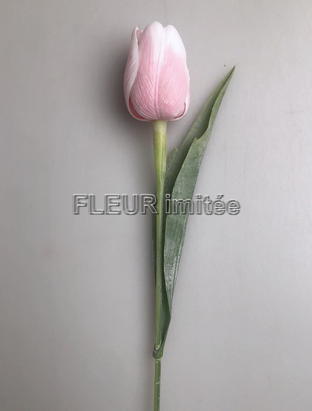 Tulipán x1 plast 40cm 144/1440