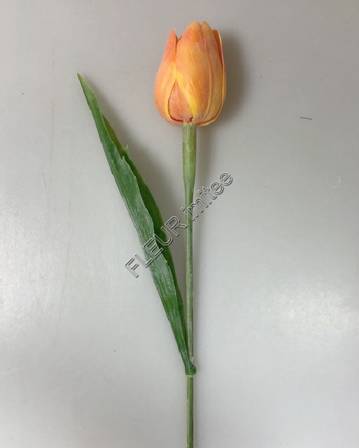 Tulipán x1 plast 40cm 144/1440