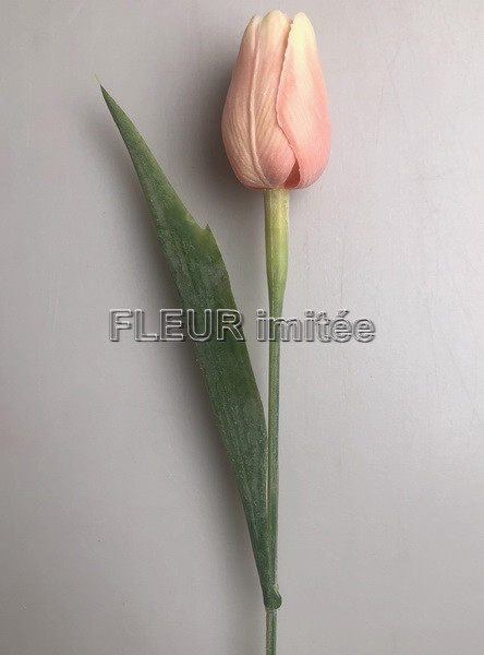 Tulipán x1 plast 40cm 144/1440