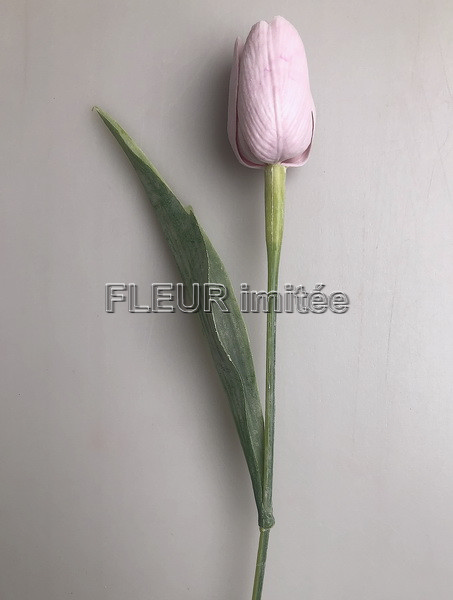 Tulipán x1 plast 40cm 144/1440