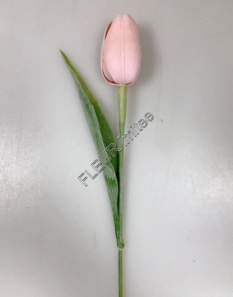 Tulipán x1 plast 40cm 144/1440