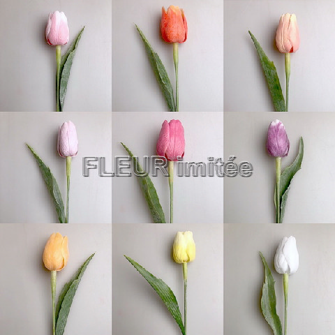 Tulipán x1 plast 40cm 144/1440