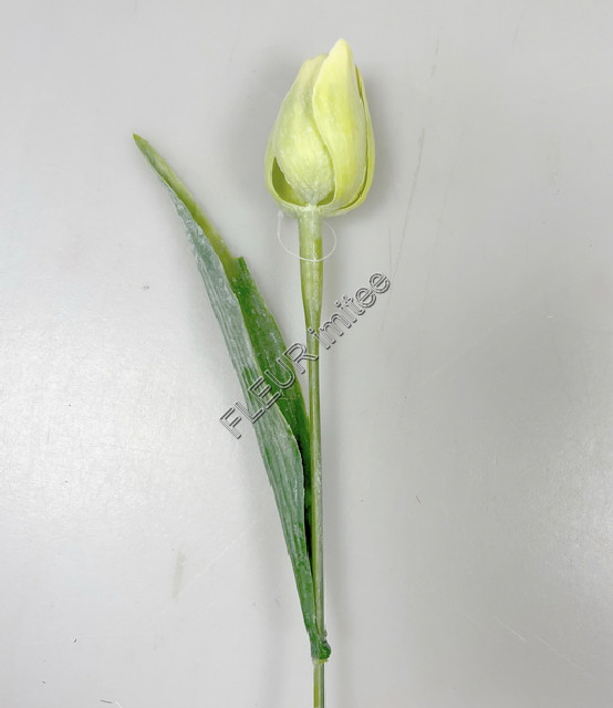Tulipán x1 plast 40cm 144/1440
