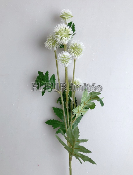 Allium mini x6  60cm 12/720