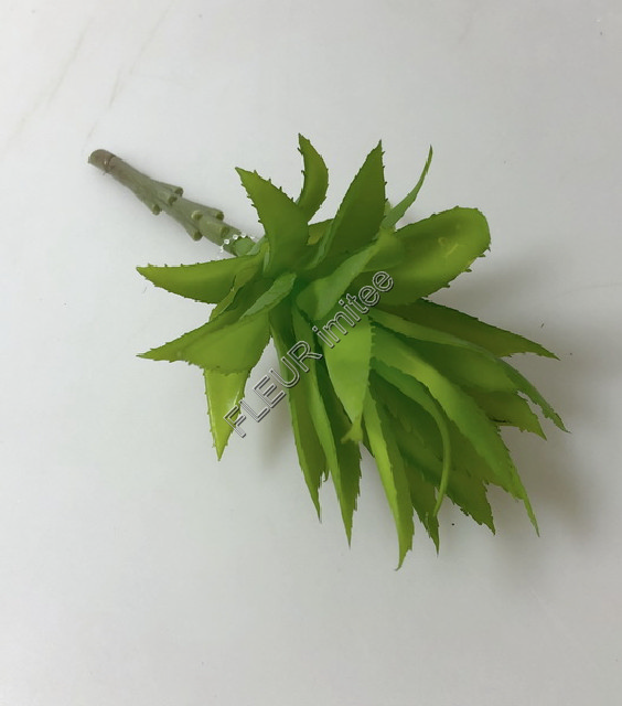 Sukulent 22cm   6/144