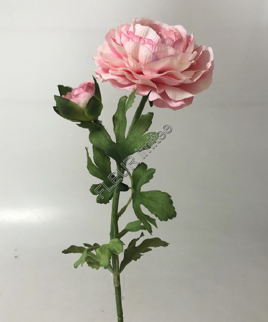 Ranunculus x2  60cm 12/360