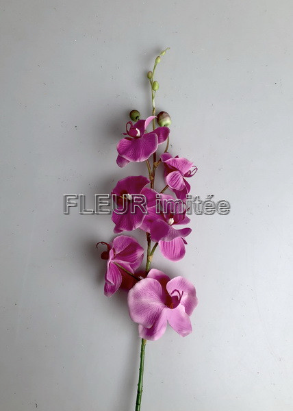 Orchidea phal. 90cm  12/72