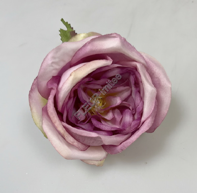Květ růže Angie 11cm 12/720