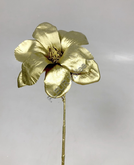 Magnolie zl.latex 40cm 1/240