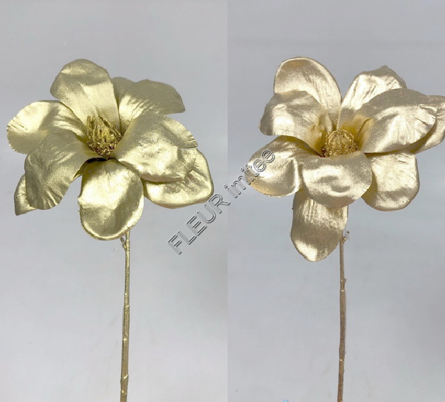 Magnolie zl.latex 40cm 1/240