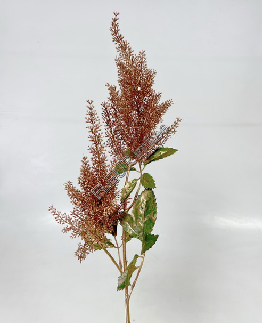 Astilbe ván. 84cm 12/72