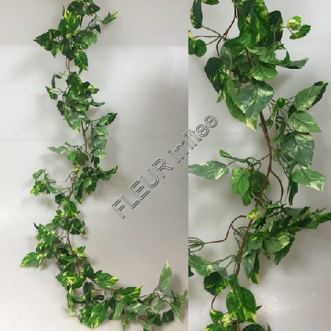 Girlanda pothos 165cm 6/30