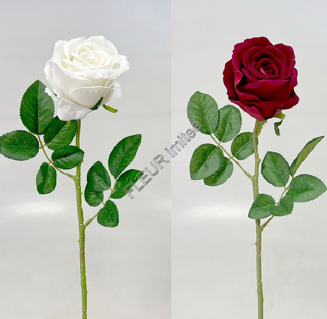 Růže x1 velvet 58cm 48/480