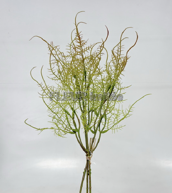 Asparagus x3 40cm 32/384