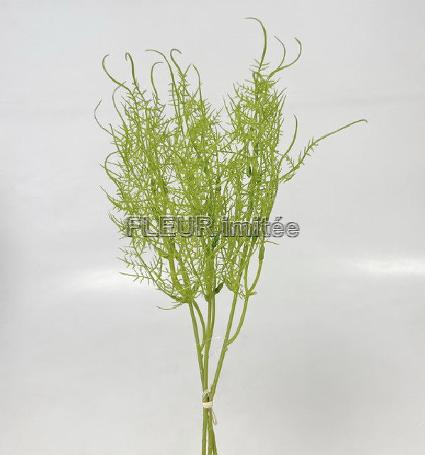 Asparagus x3 40cm 32/384