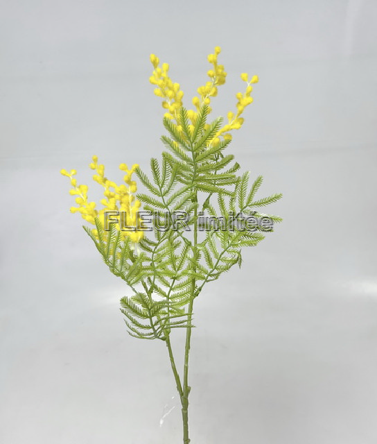 Mimosa x2 75cm 48/384