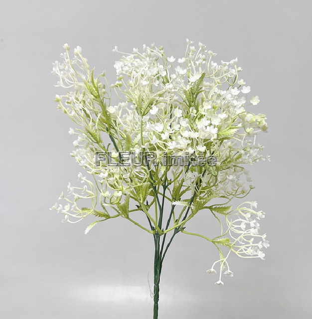 Gypsophila x5 35cm 72/288