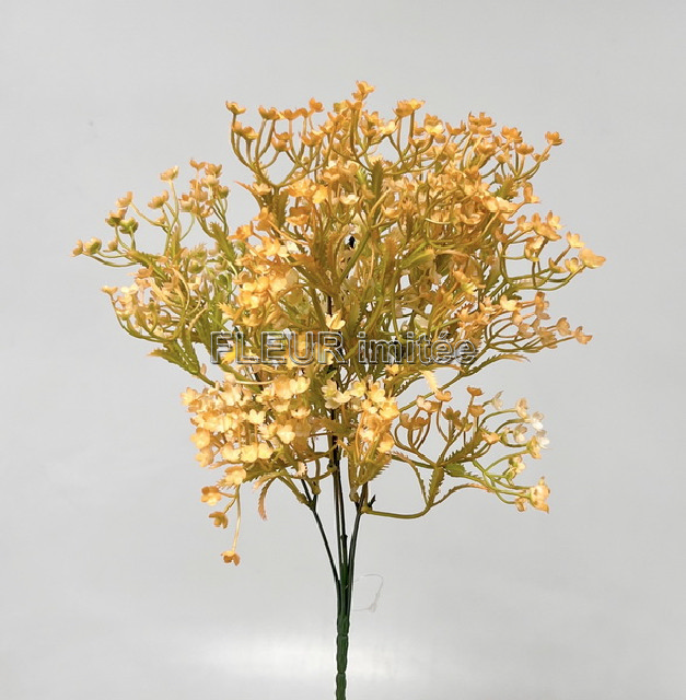 Gypsophila x5 35cm 72/288