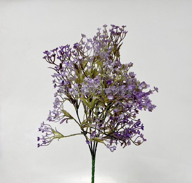 Gypsophila x5 35cm 72/288