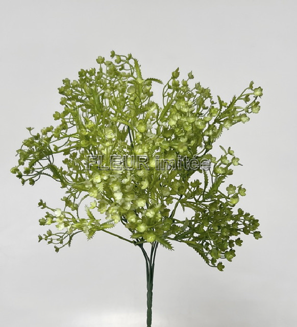 Gypsophila x5 35cm 72/288