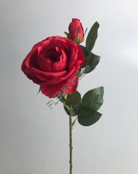 Růže s poup.78cm 36/360