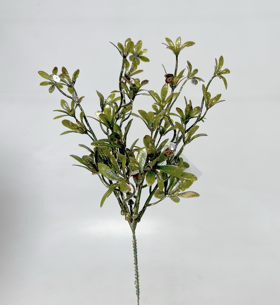 Buxus ván. 30cm 12/48