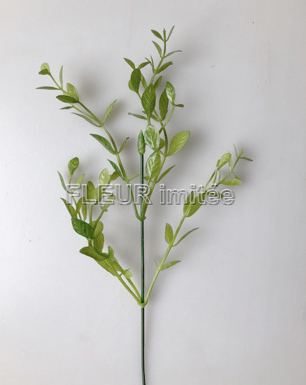 Buxus 37cm 24/576