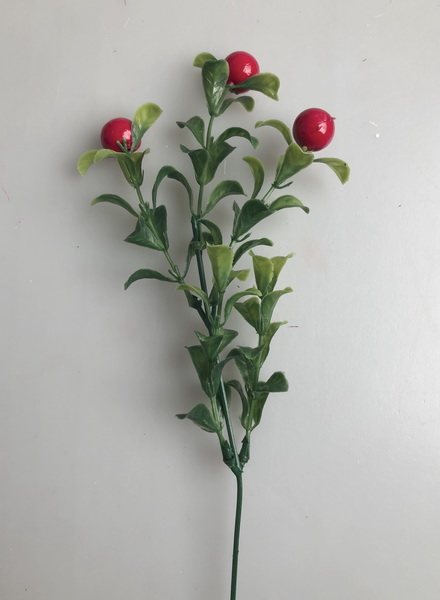 Buxus recess of red berries 12 /