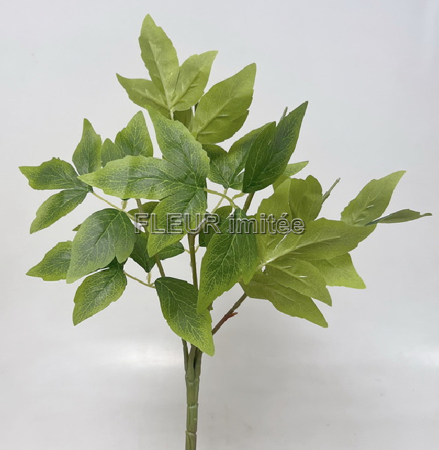 Korpus x 5 42cm  12/96