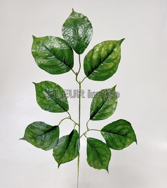 Větev lípa  55cm 48/240