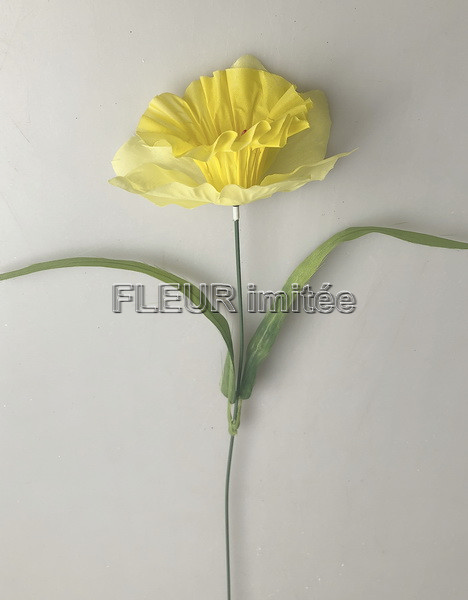 Narcis x1 s trávou 50cm 12/720