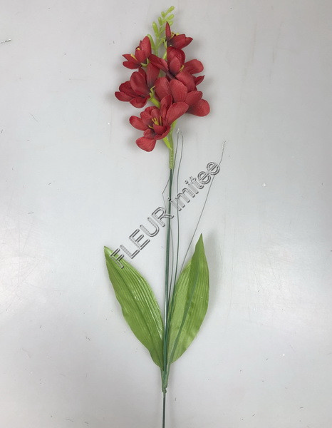 Frezie s trávou   59cm 12/72