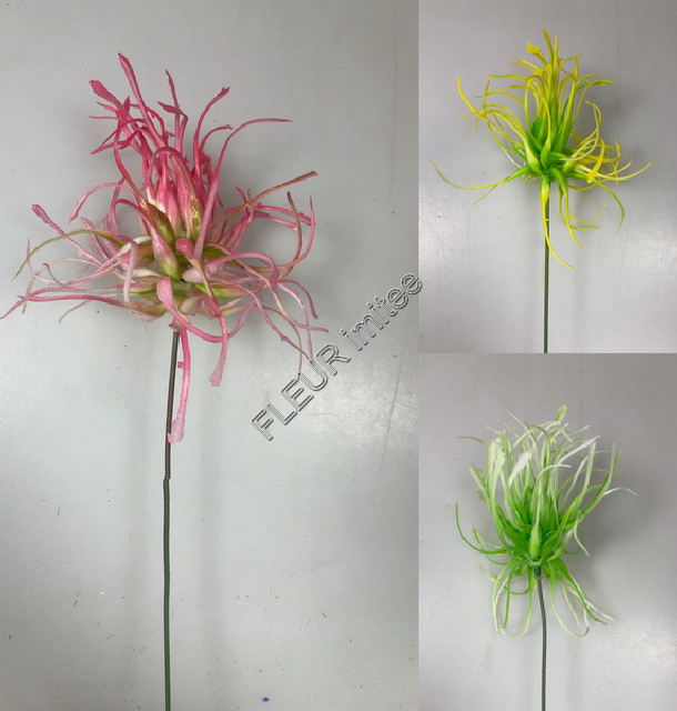 Bodlák frost 36cm/11cm 36/720