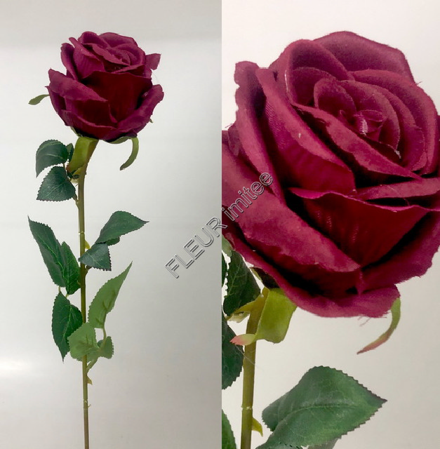 Růže samet 62cm 12/480