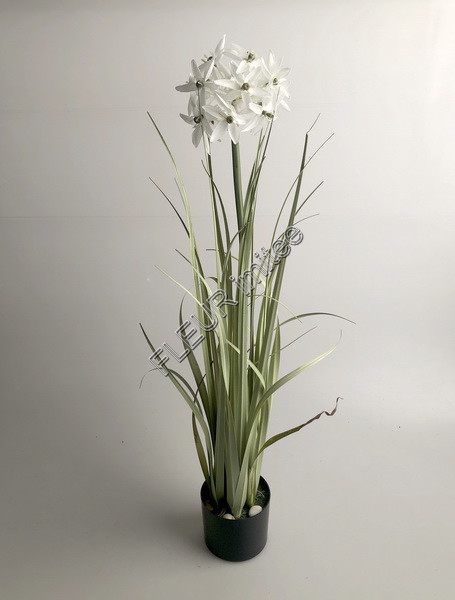 Tráva v květ. 70cm kvet. 1/2