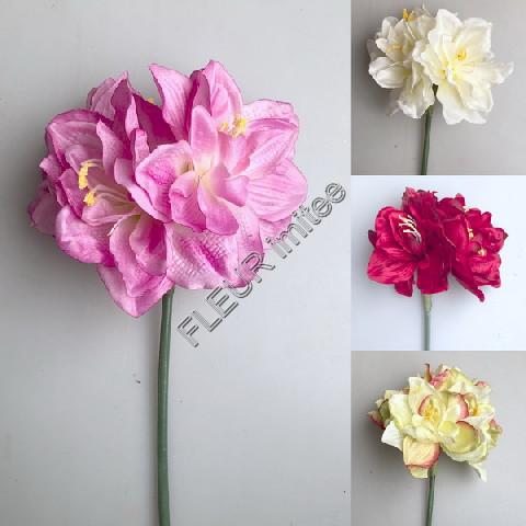 Amarylis x4 54cm 24/432