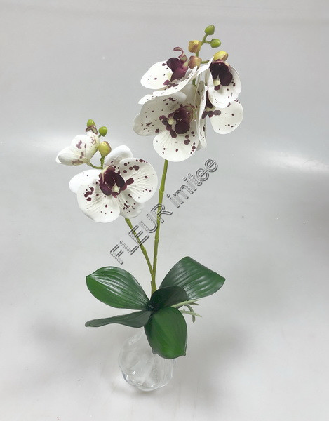 Orchidea x2 50cm 2/48