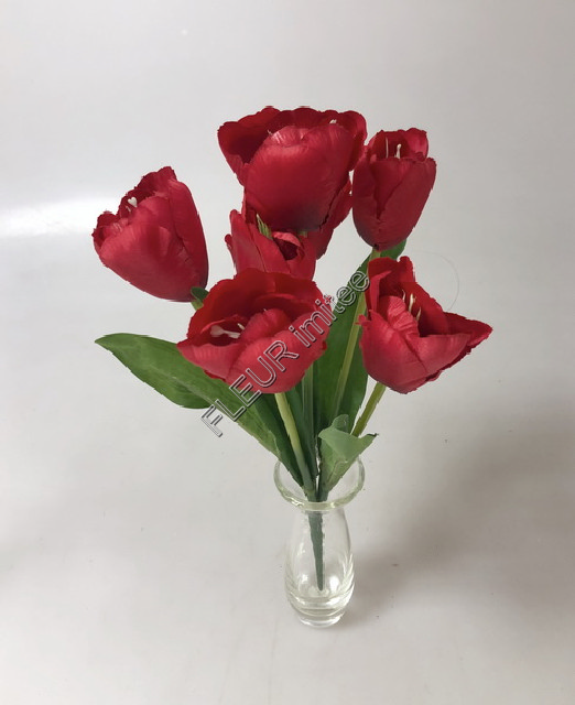Tulipán x7  35cm 12/55