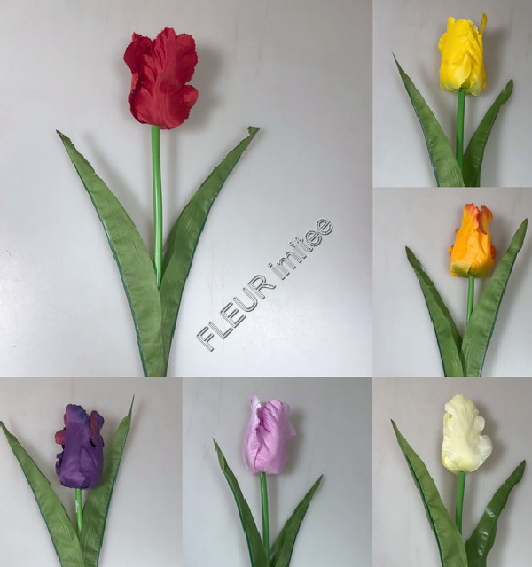Tulipán x1 62cm 36/432