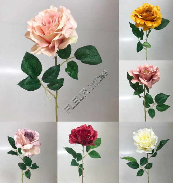 Růže x1 56cm 12/288