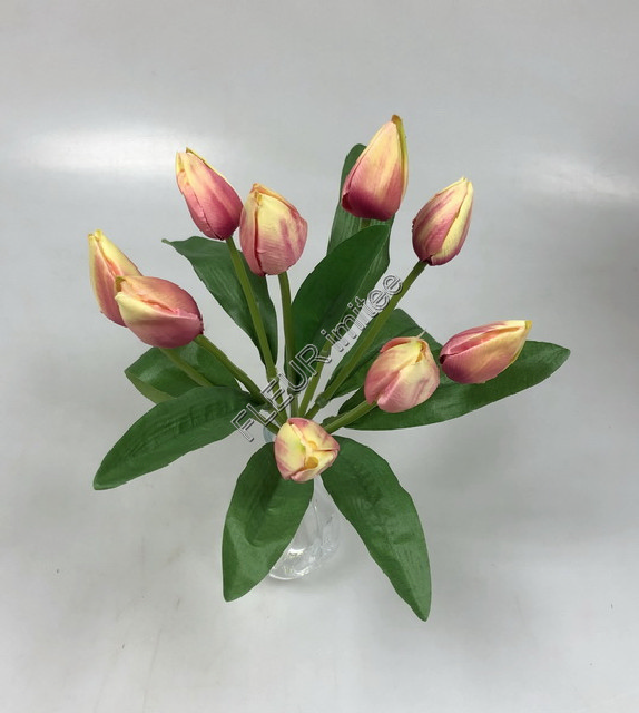 Tulipán x9 37cm 36/216