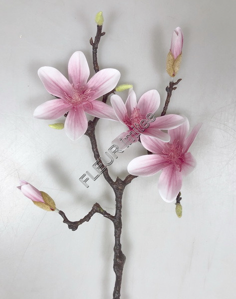 Magnolie x5 latex 64cm 18/108