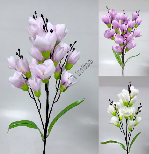 Magnolie x4 84cm 12/120